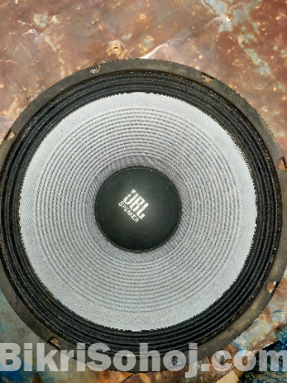 ১২ ইঞ্চি স্পিকার